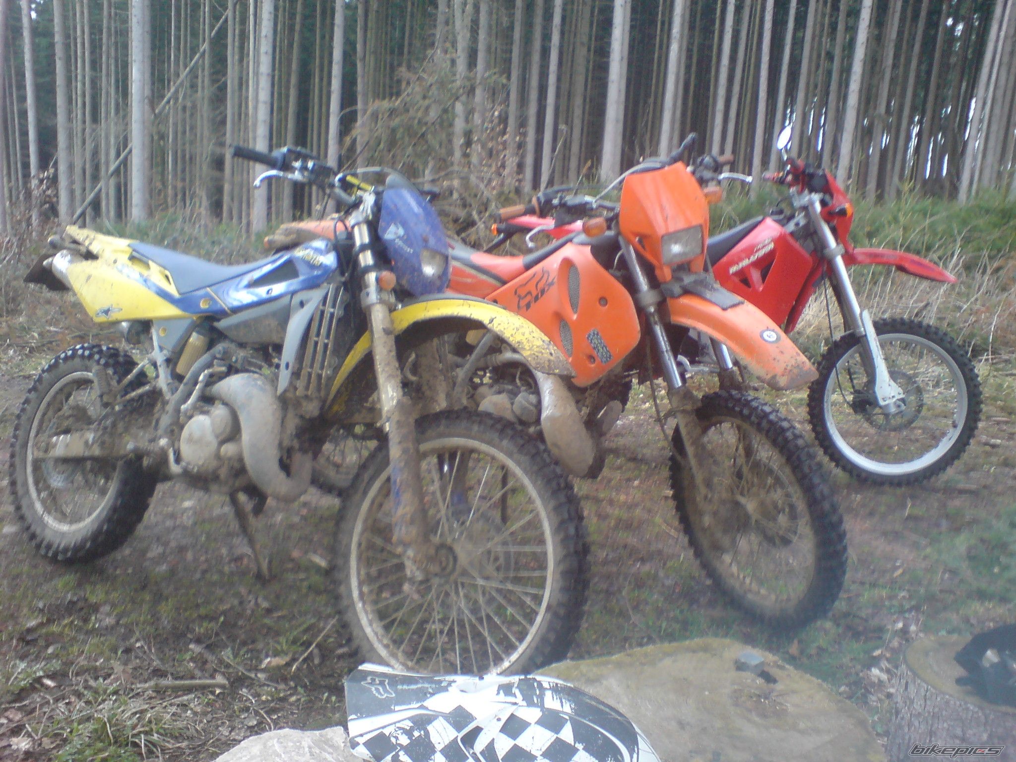 Photo 1220039