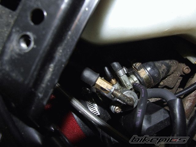 Photo 1220059