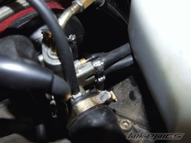 Photo 1220061