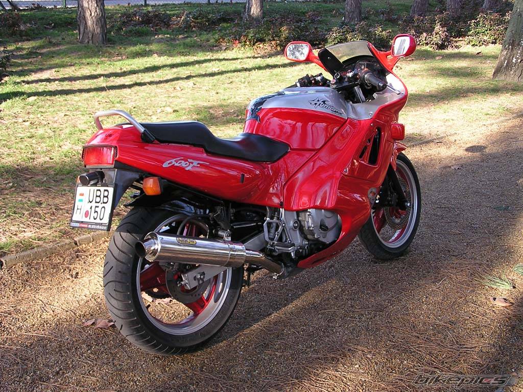 Bike Photo 122008
