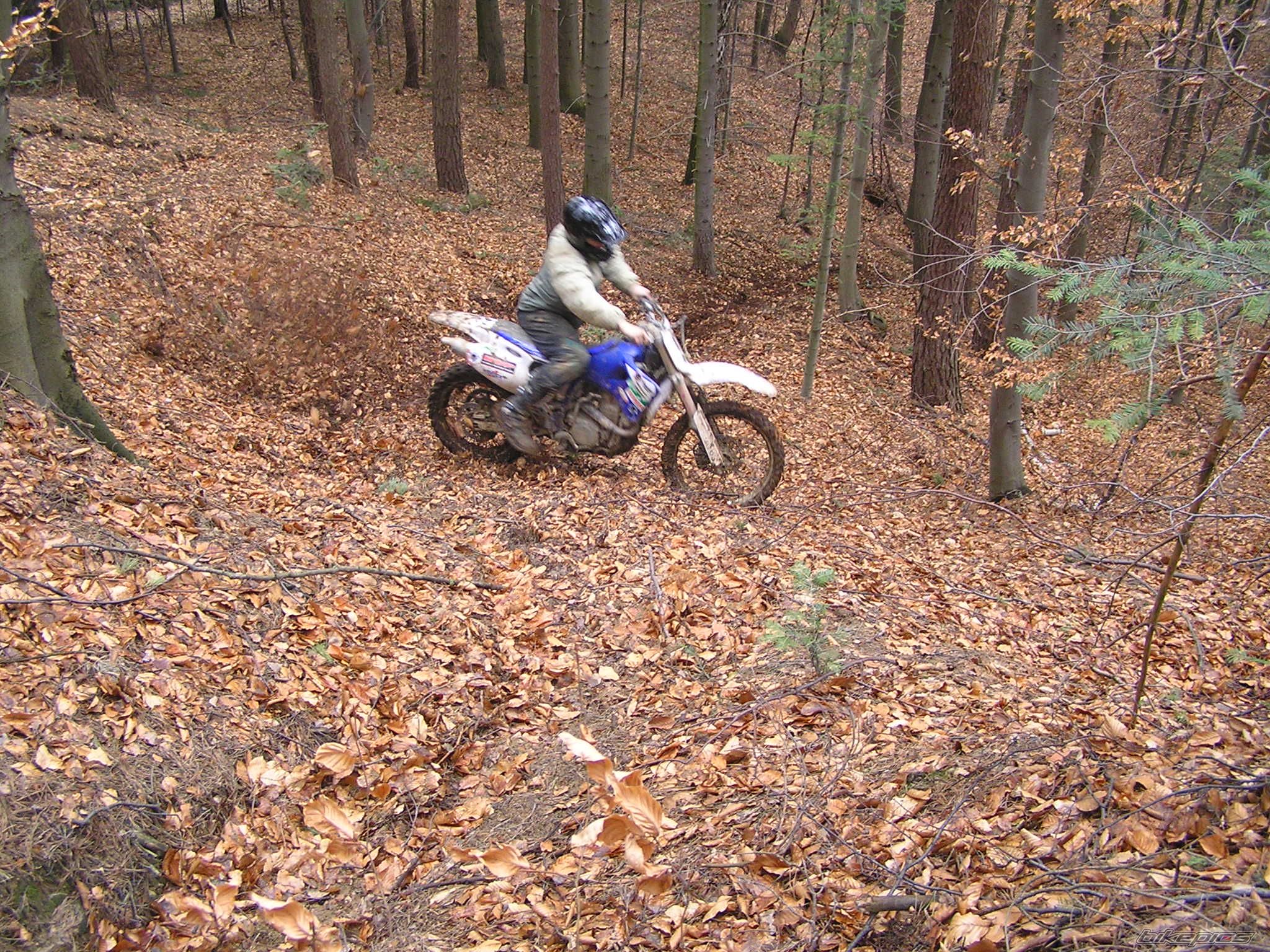 Bike Photo 1220257