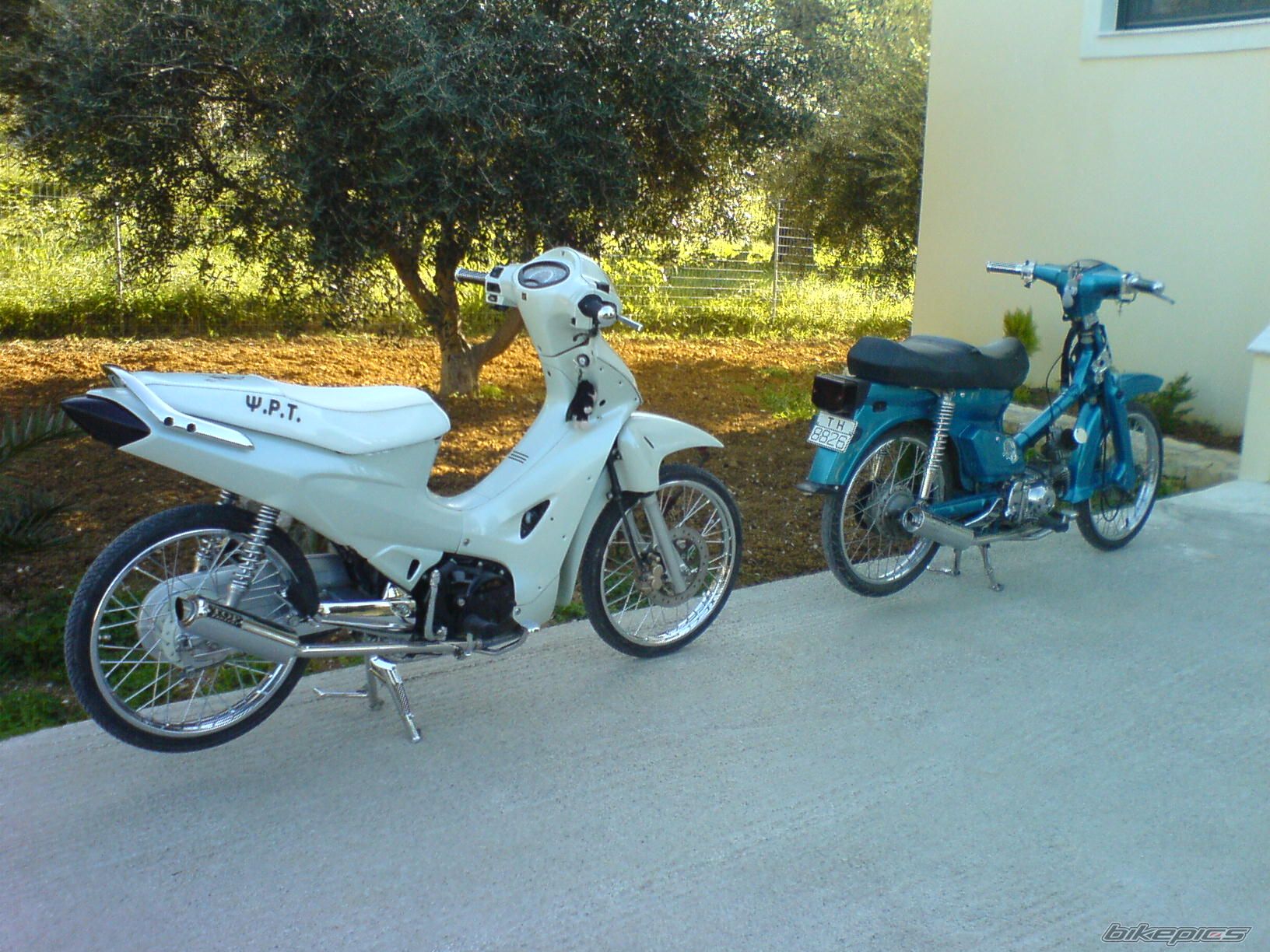 Photo 1220296