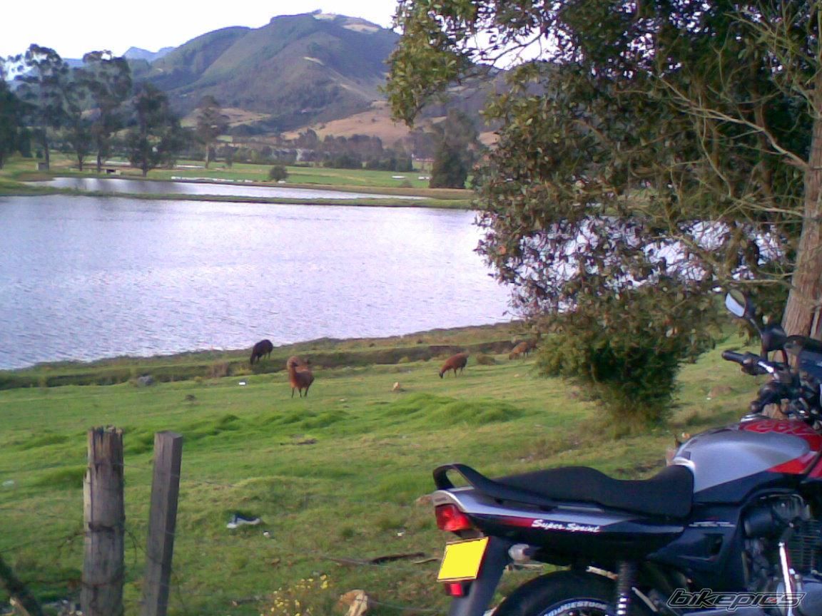 Photo 1220305