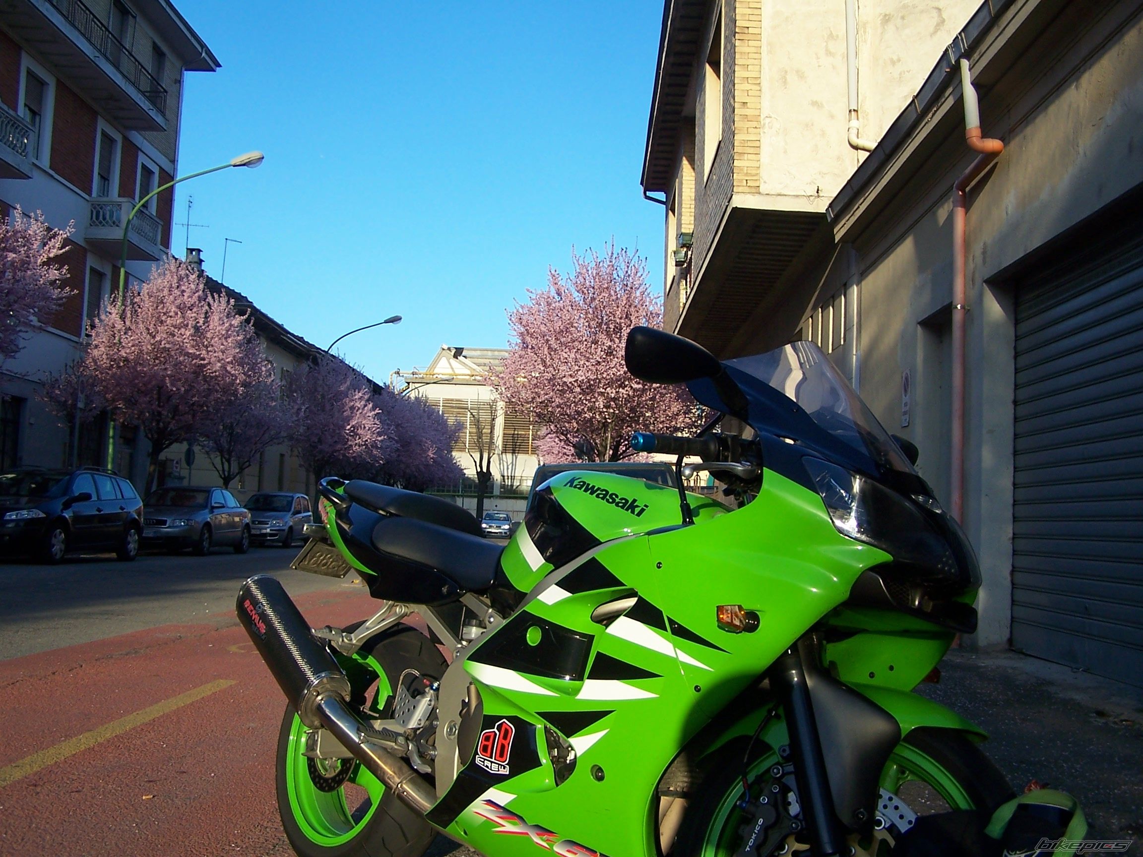 Photo 1220382