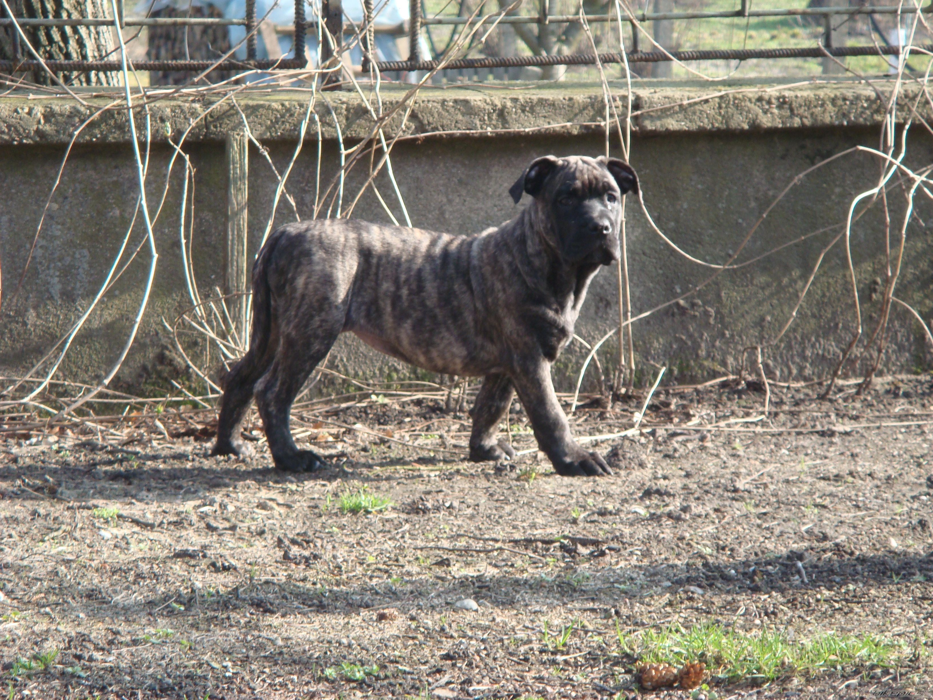 Photo 1220390