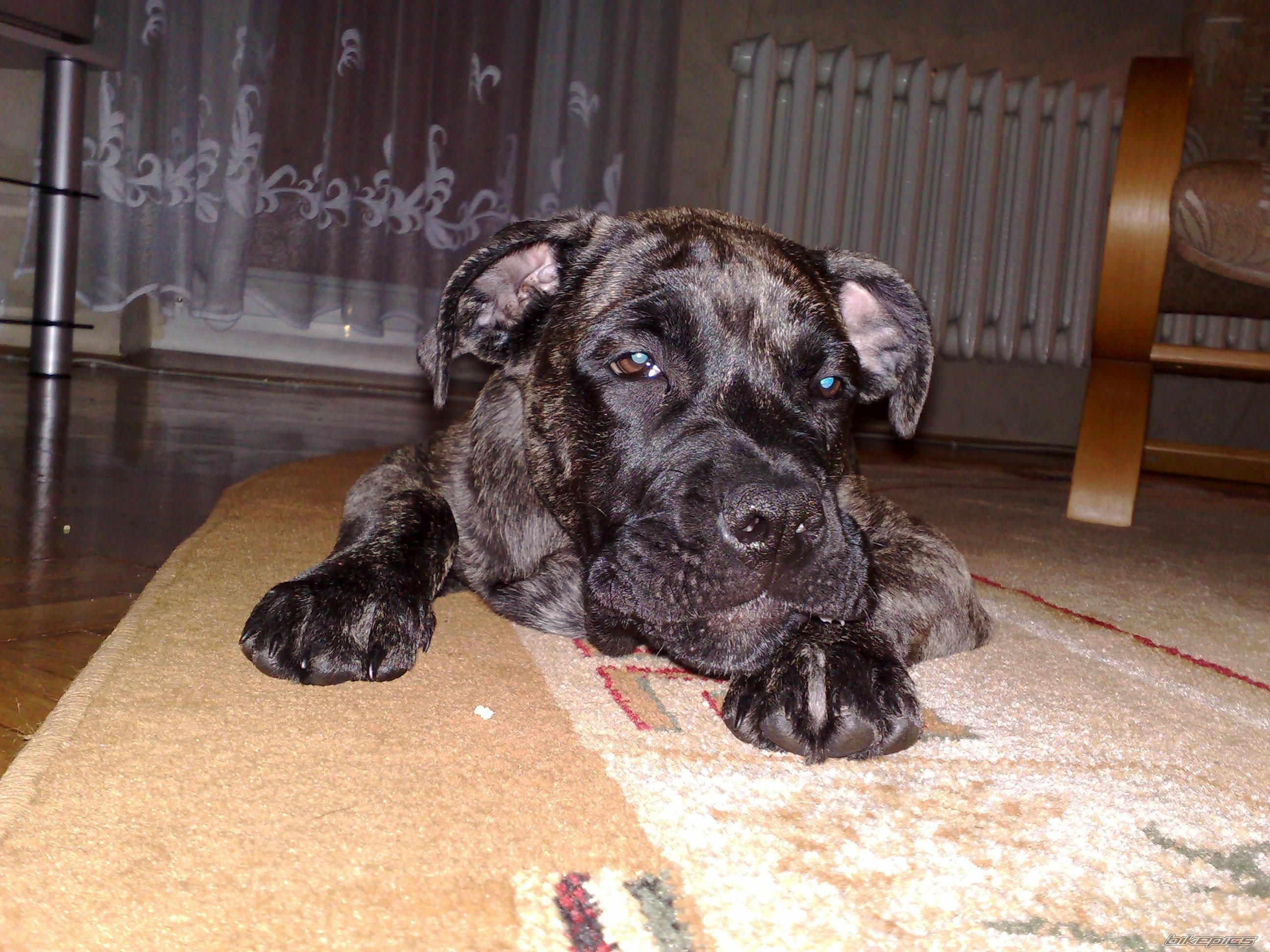 Photo 1220393