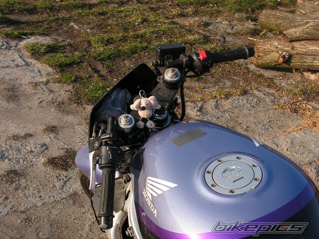 Photo 1220420