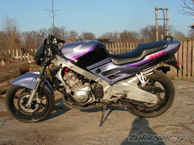 Photo 1220423