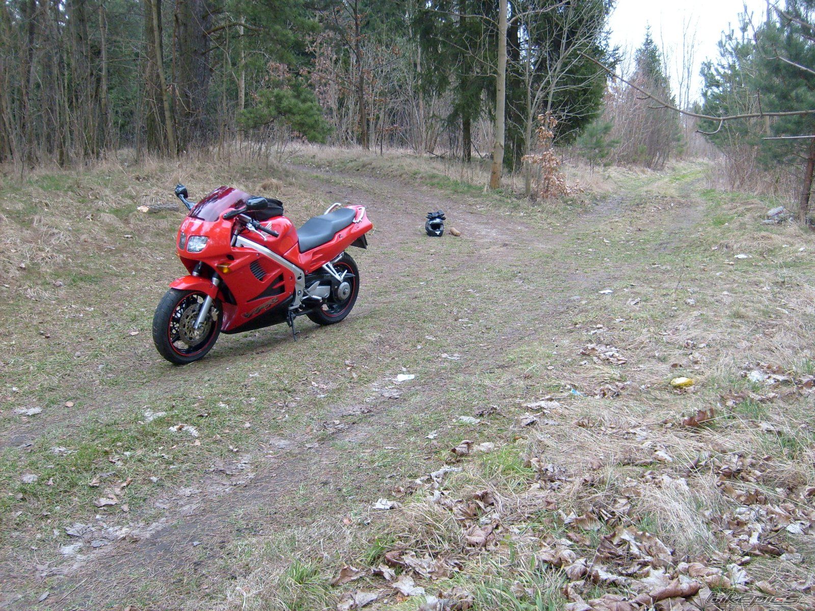 Photo 1220436