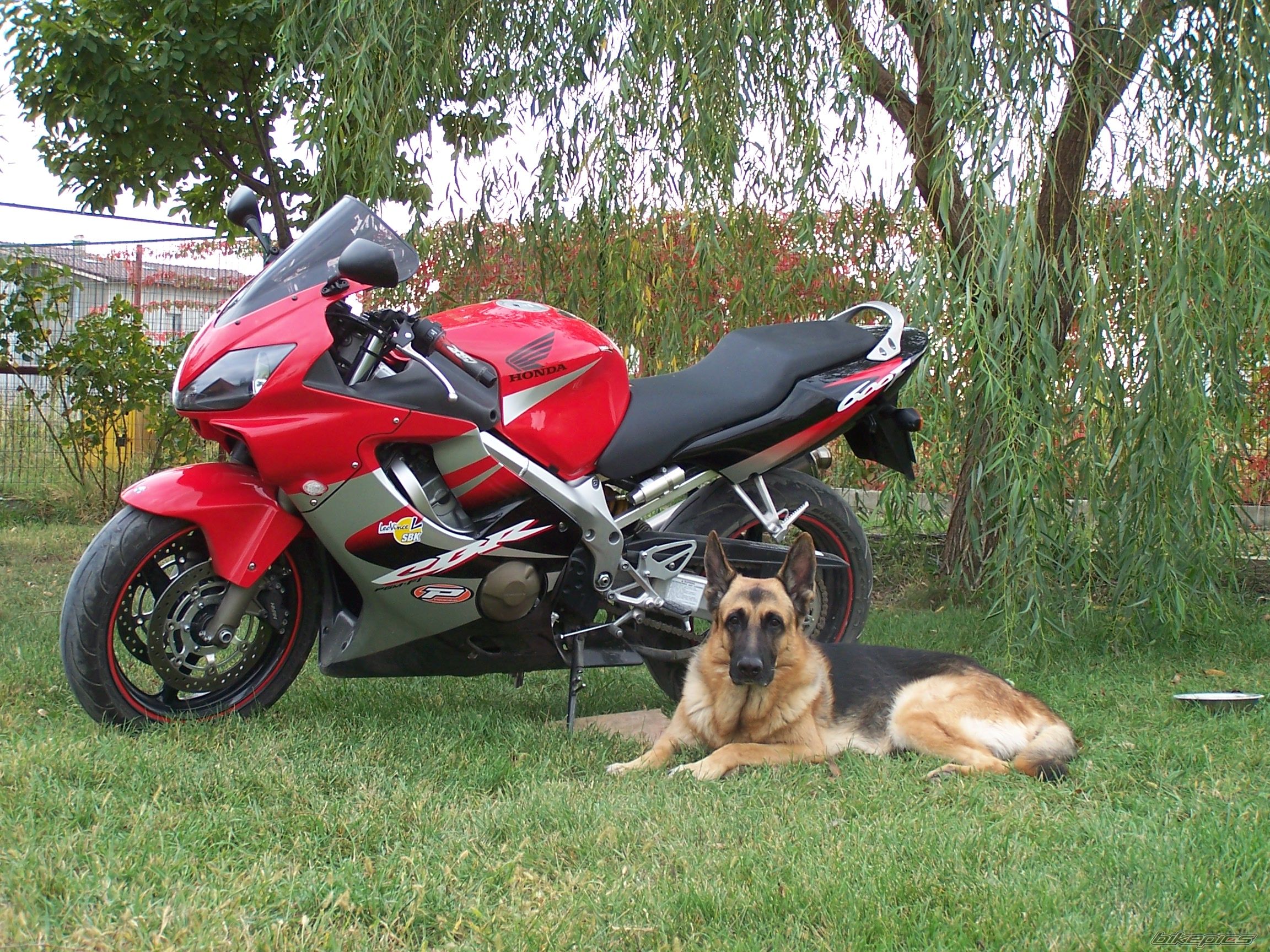Photo 1220627