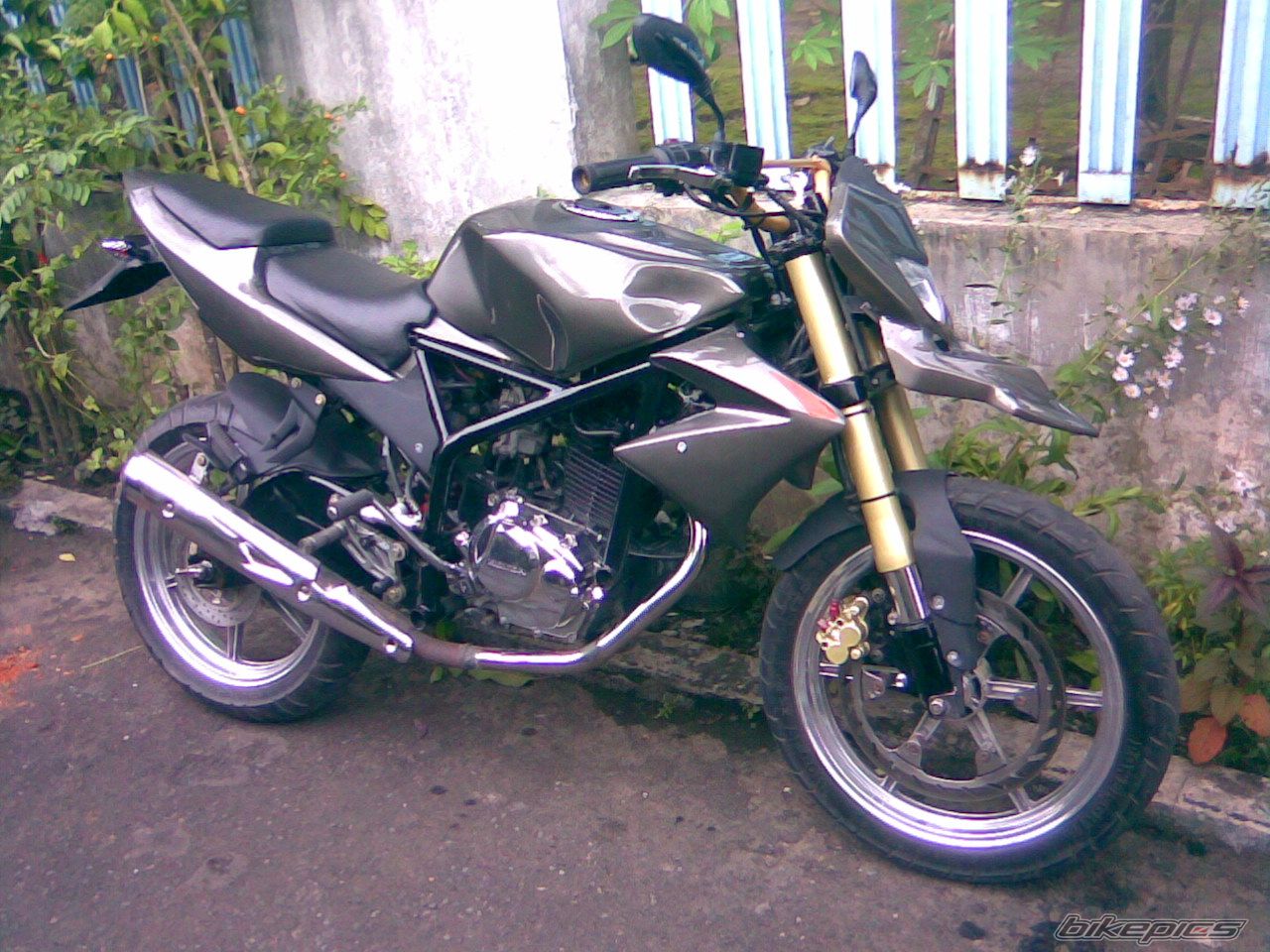 Photo 1220690