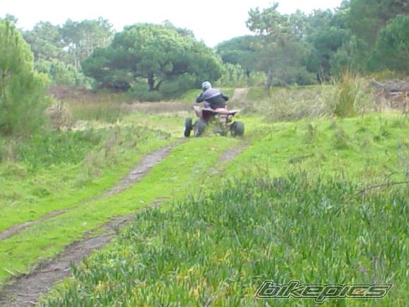 Photo 122081