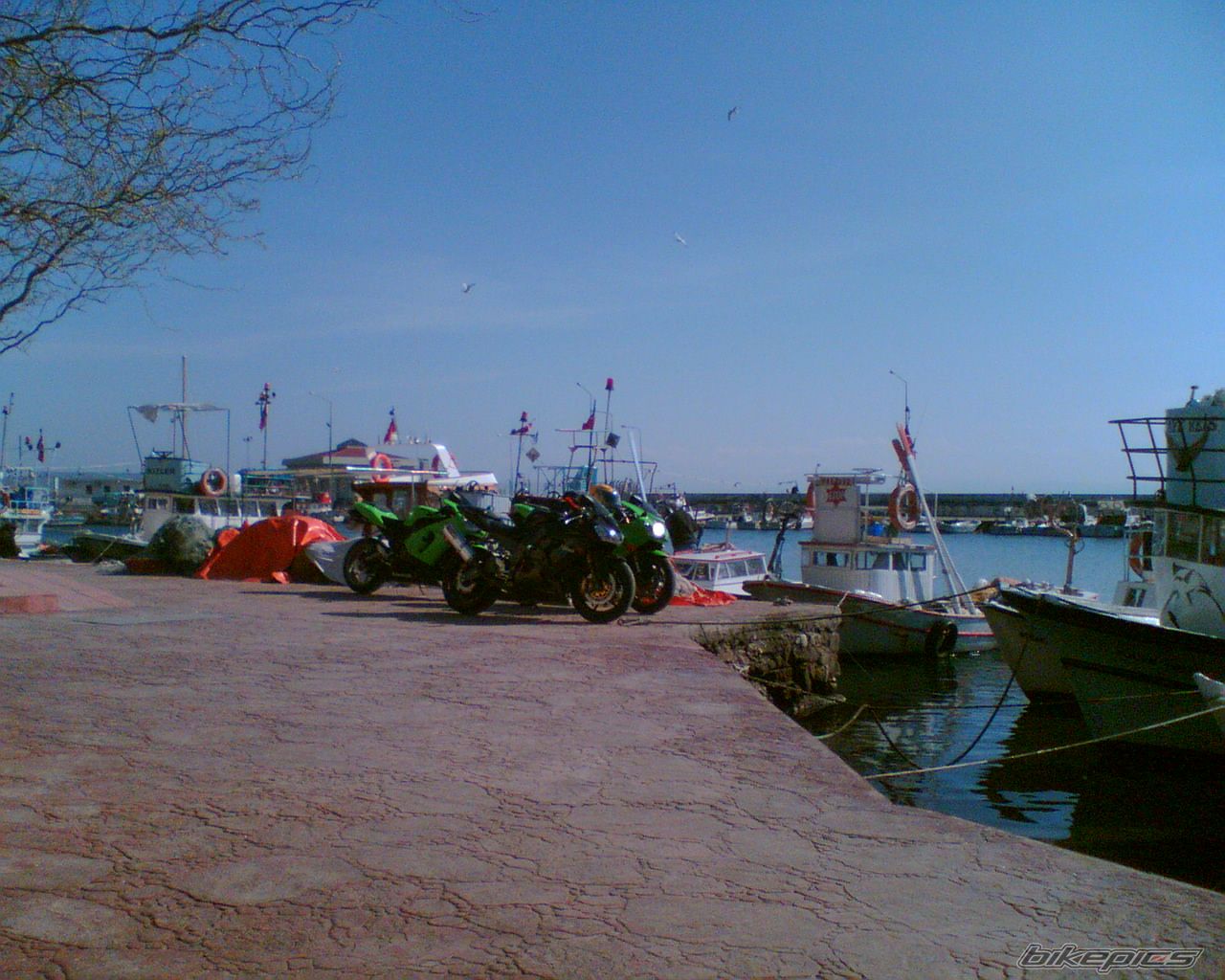 Bike Photo 1220831