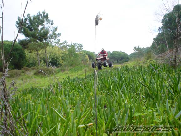 Photo 122084