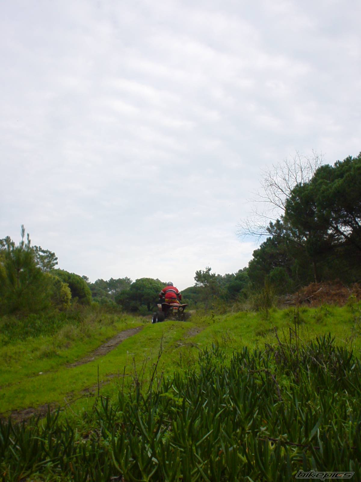 Photo 122085