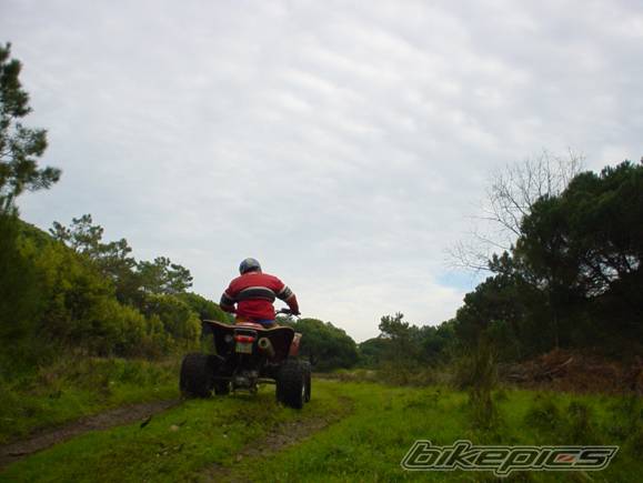 Photo 122087