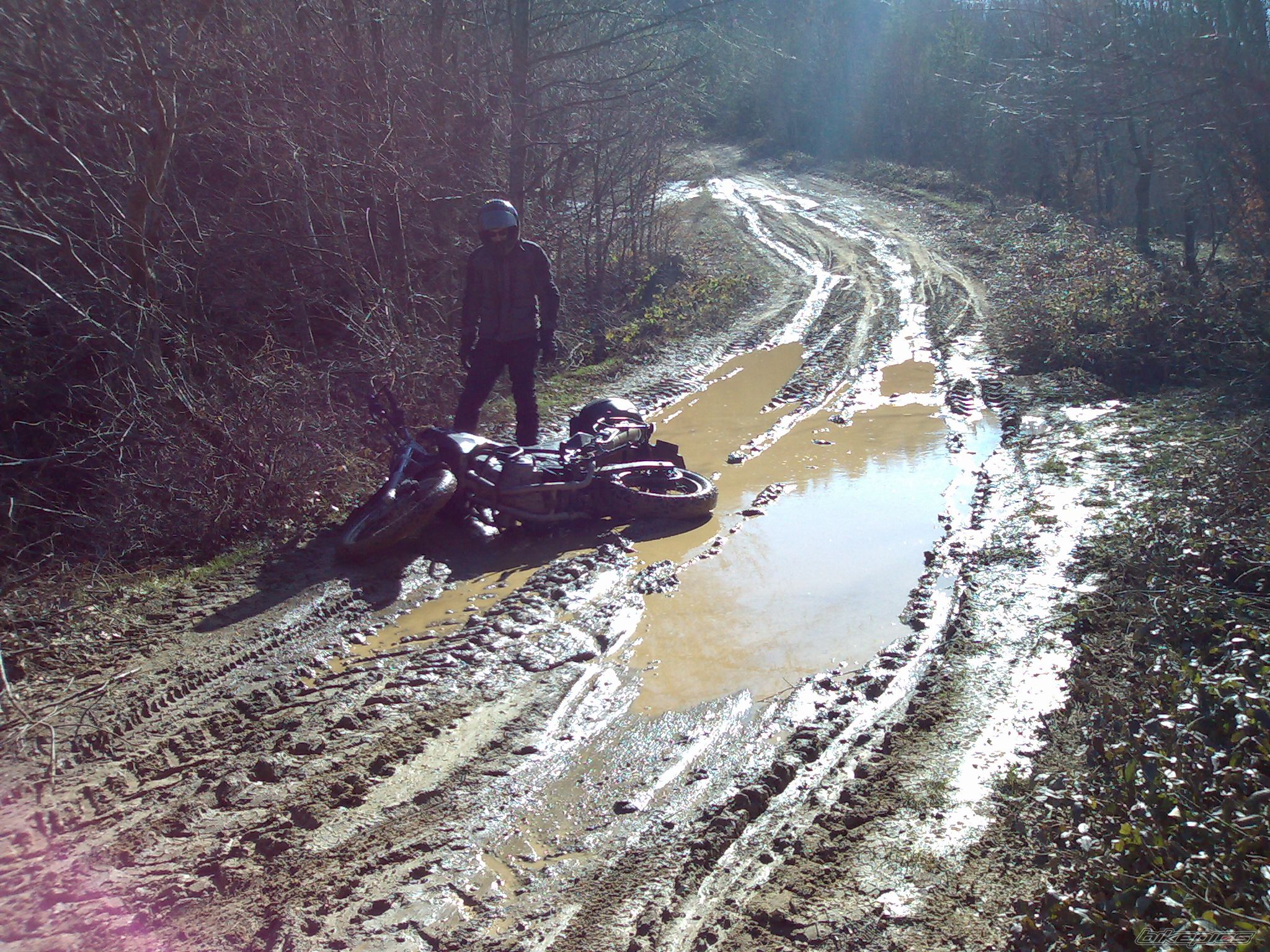 Photo 1220877