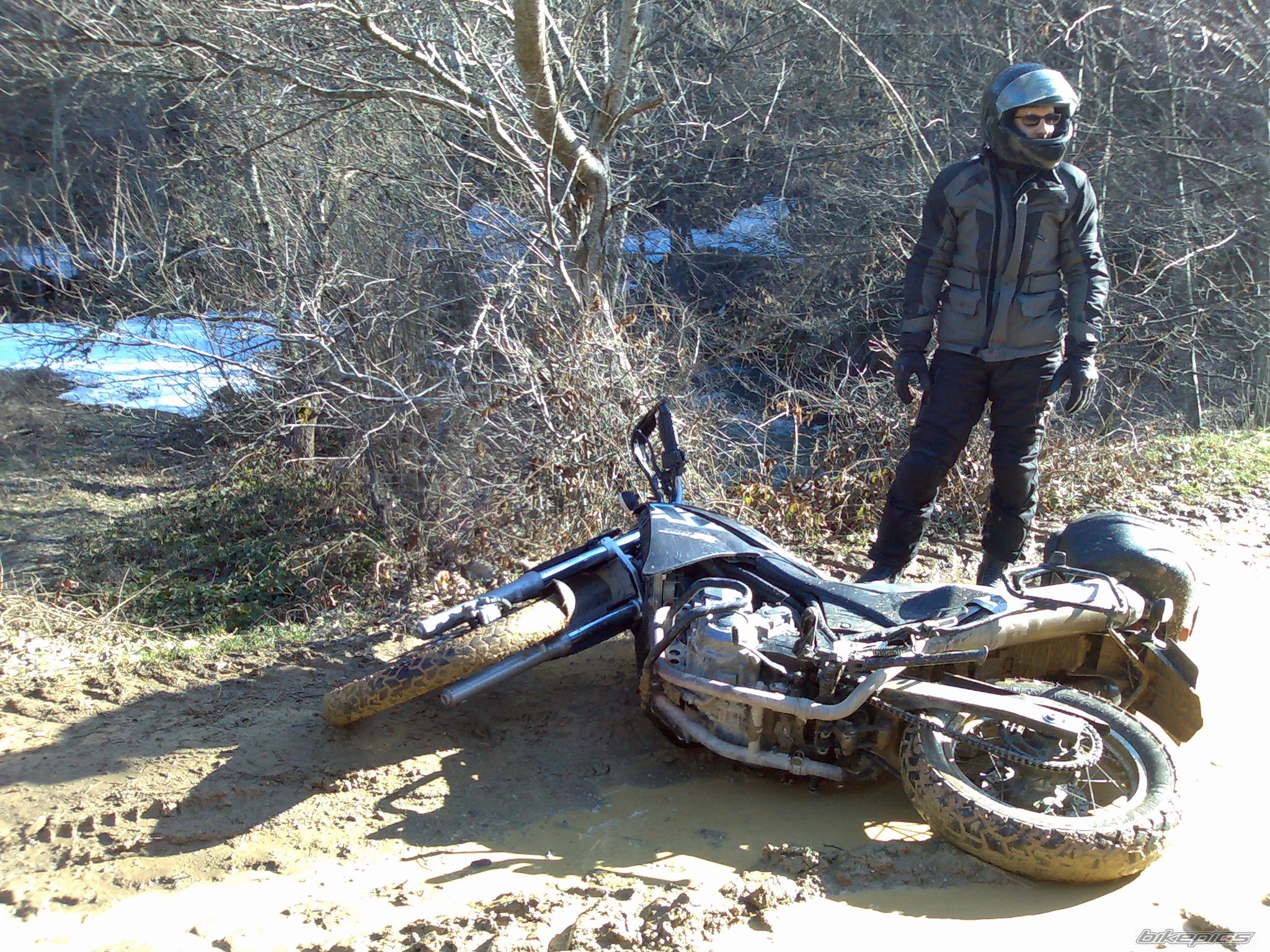 Photo 1220884