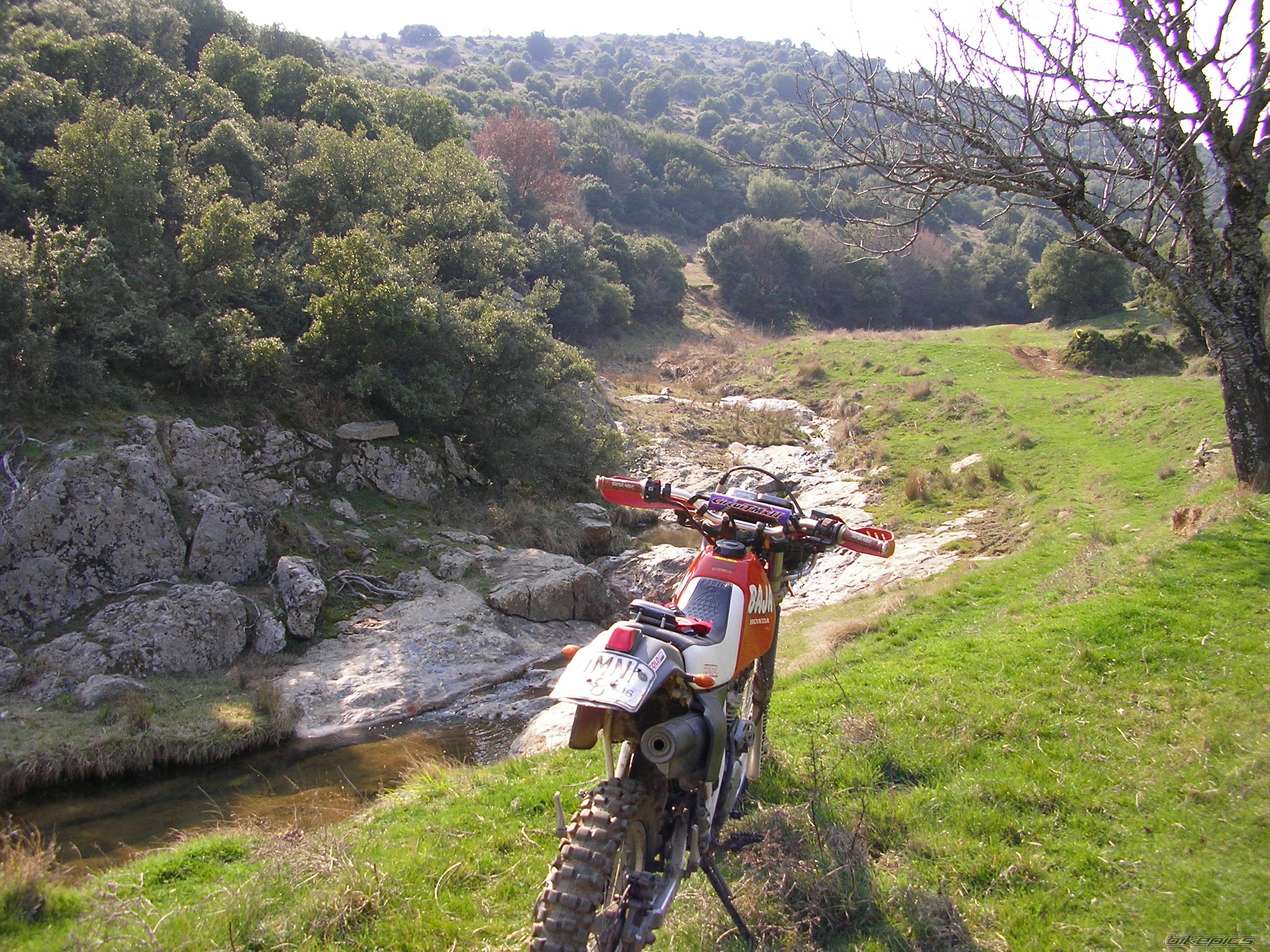 Photo 1220987