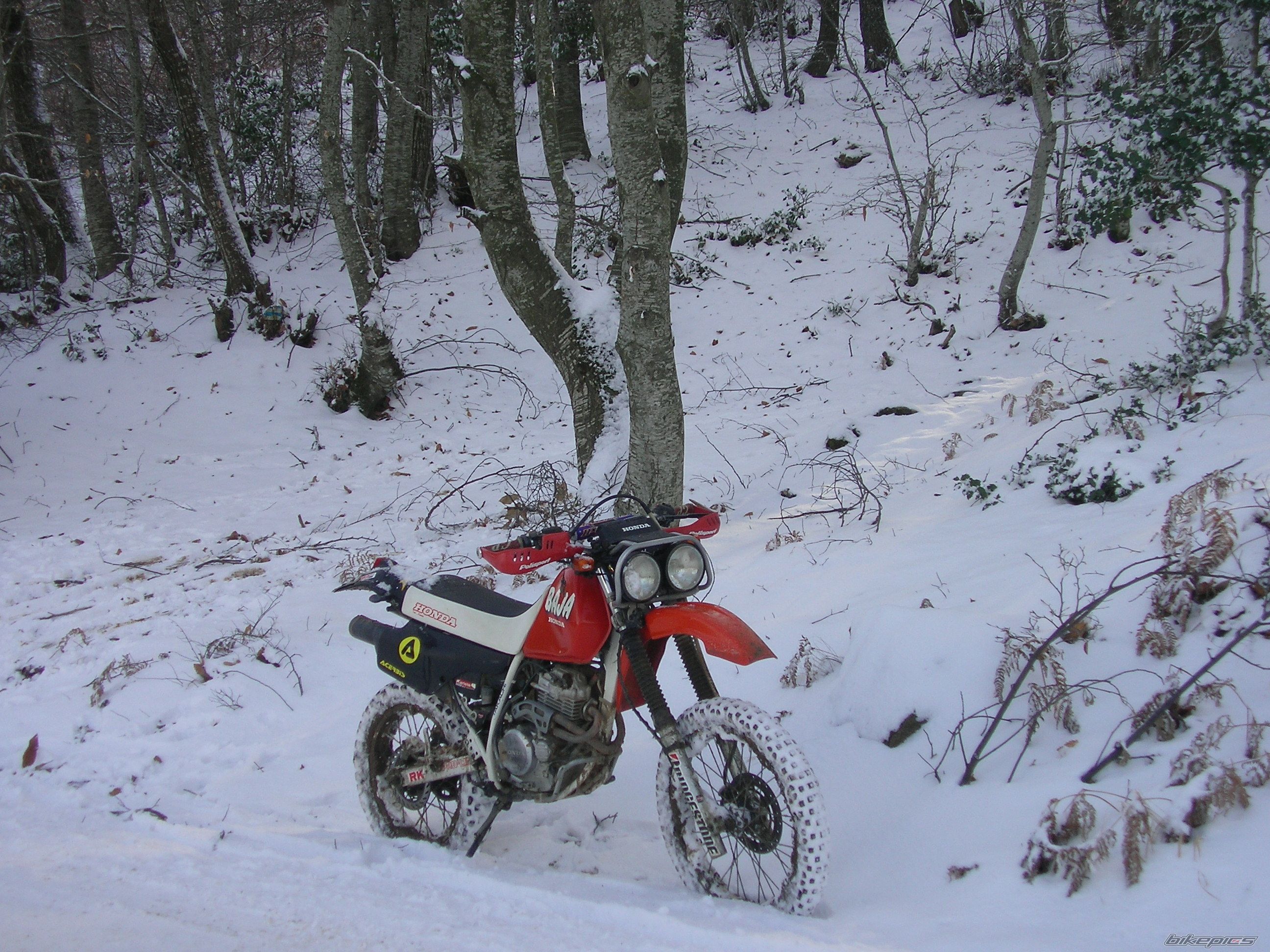Photo 1220994