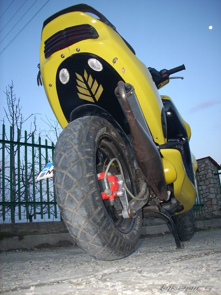 Photo 1221031