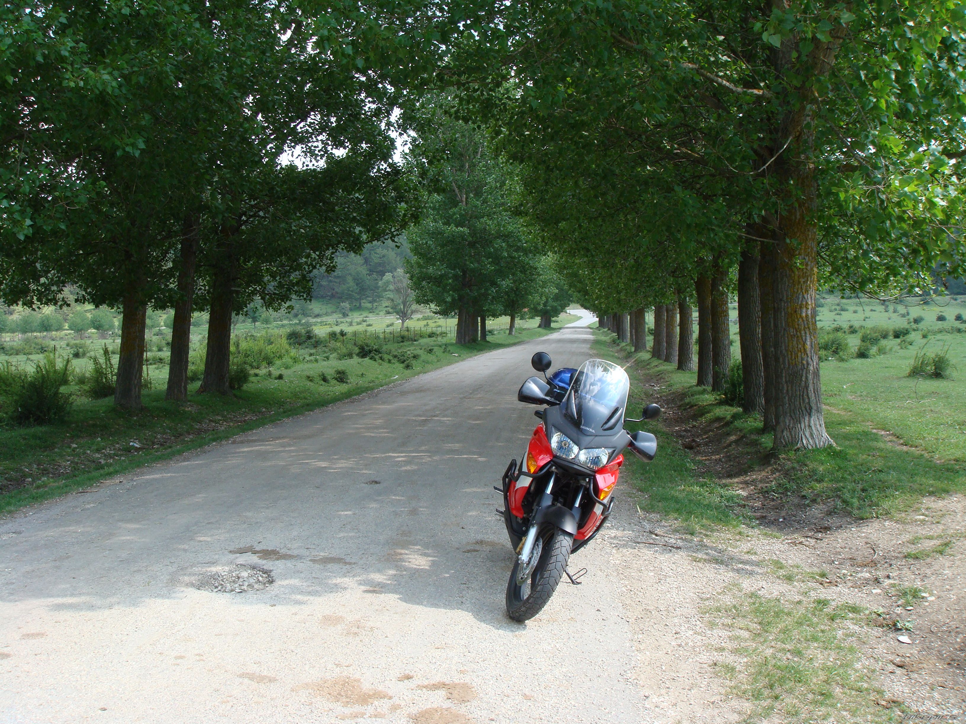 Bike Photo 1221161