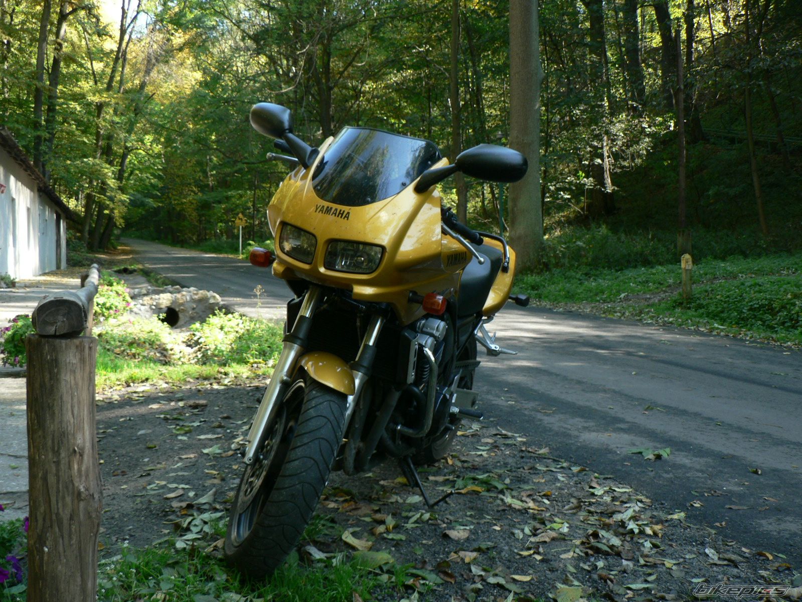 Photo 1221263