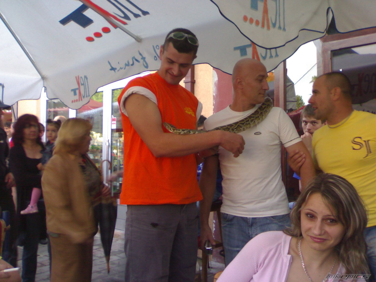 Photo 1221292