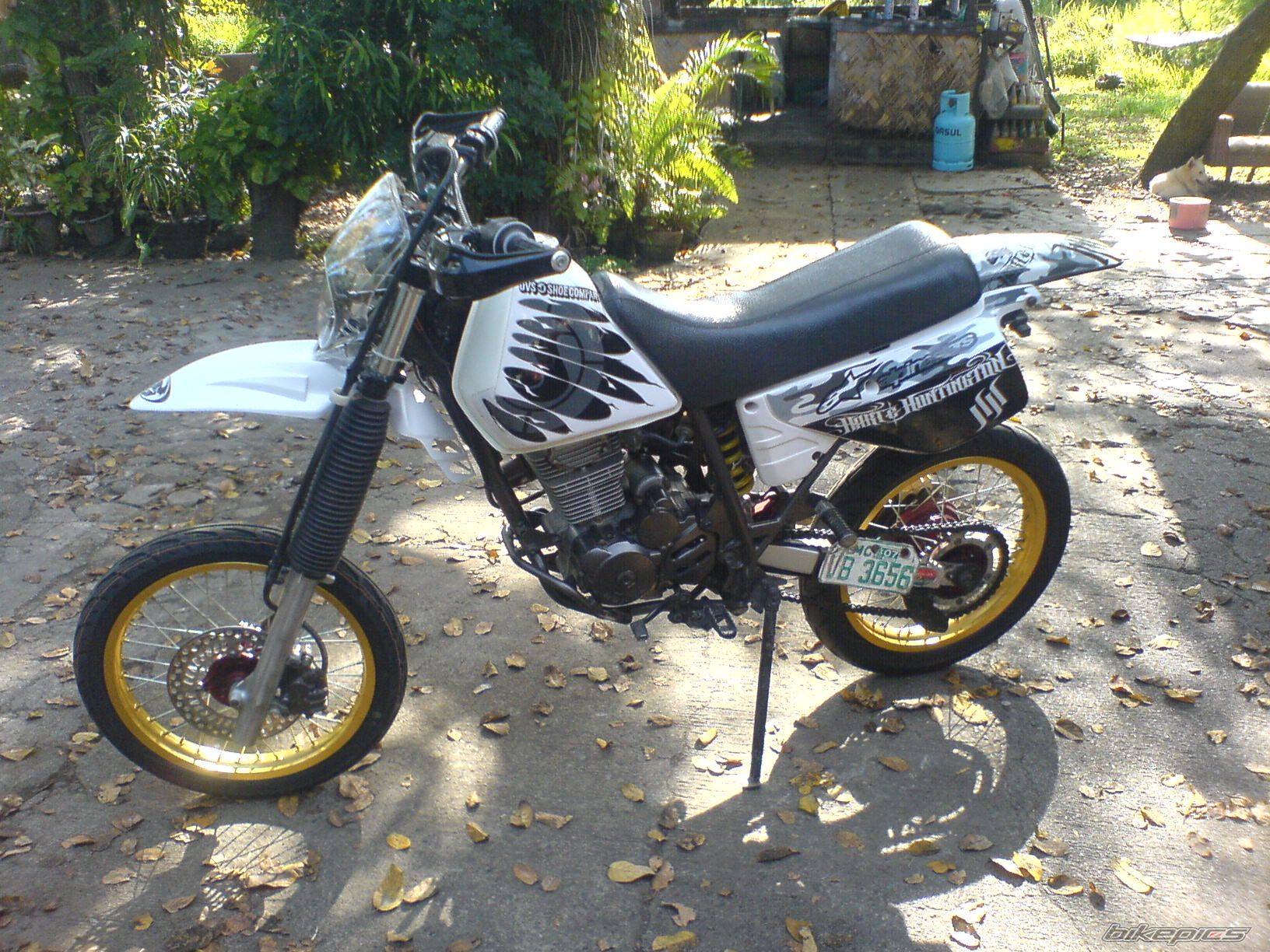 Photo 1221473