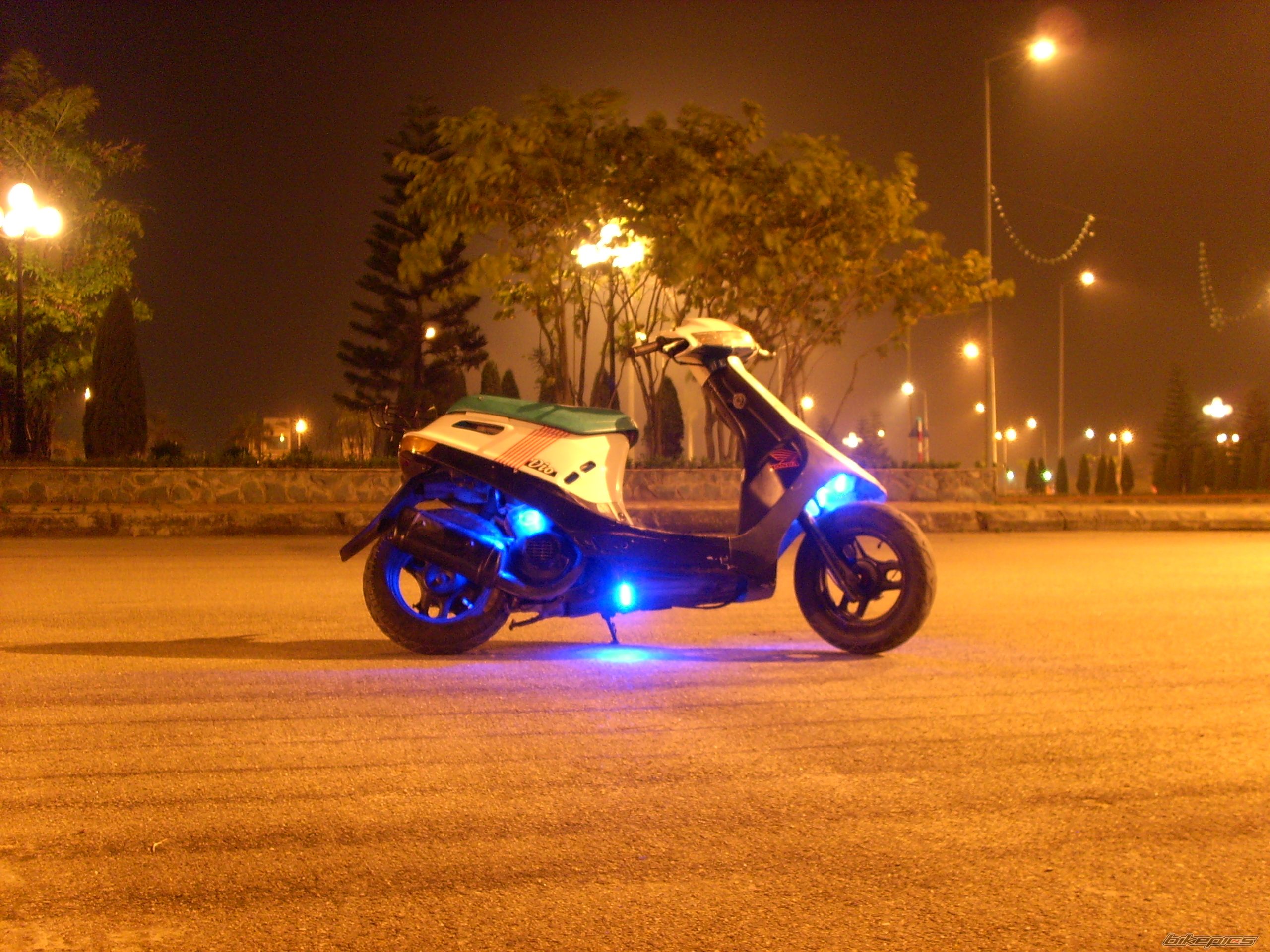 Photo 1221492