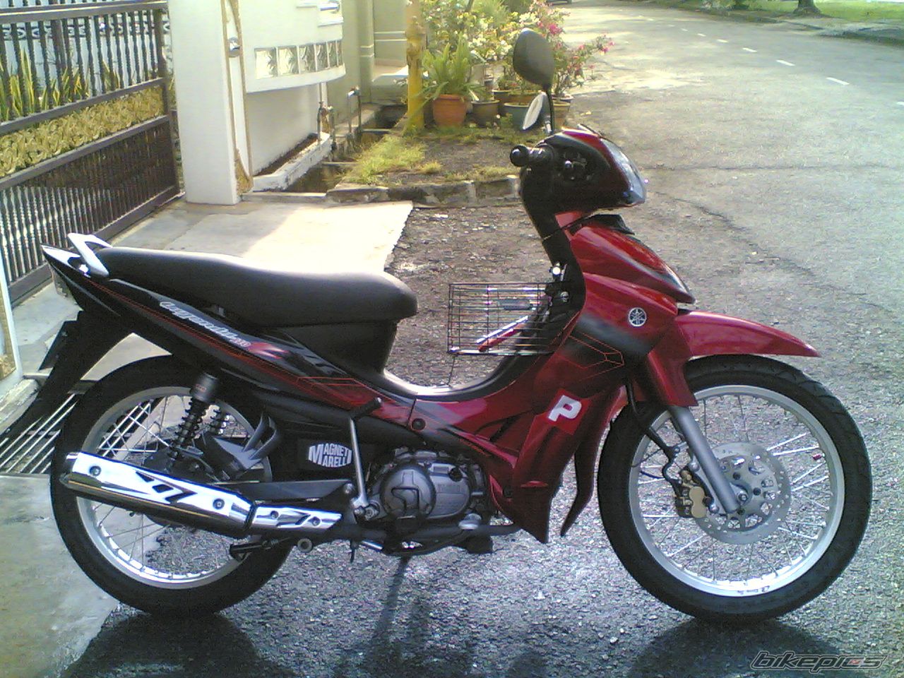 Photo 1221495