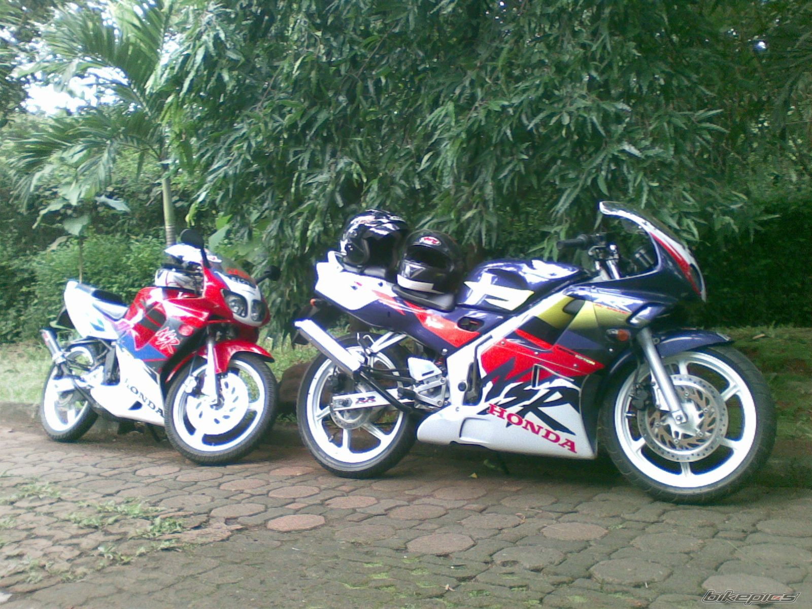 Photo 1221540