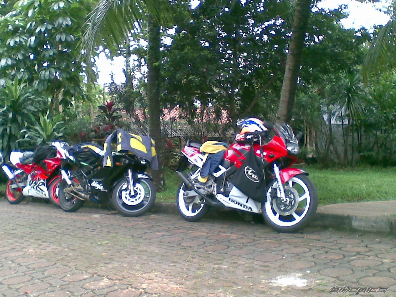 Photo 1221543