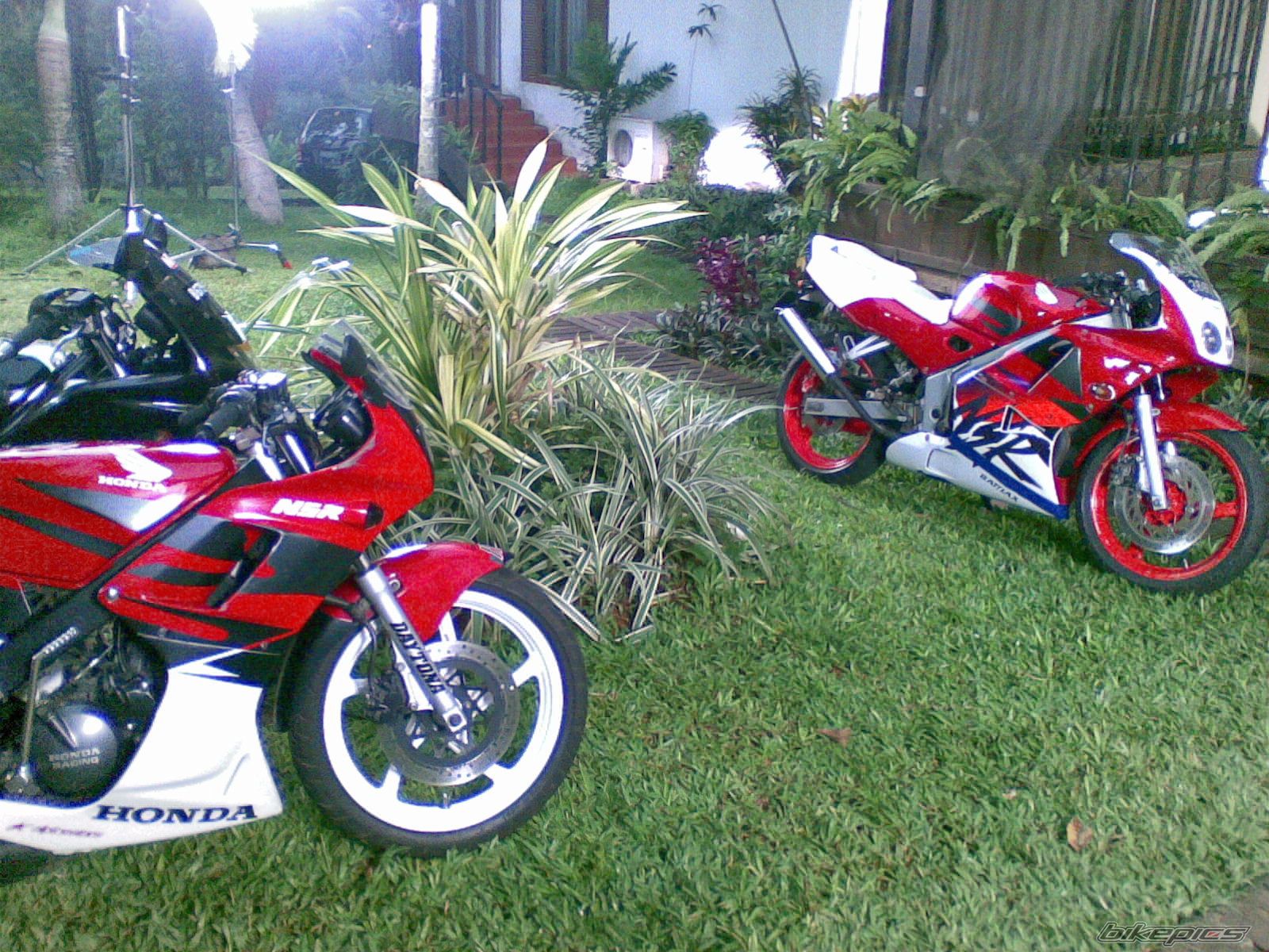 Photo 1221547