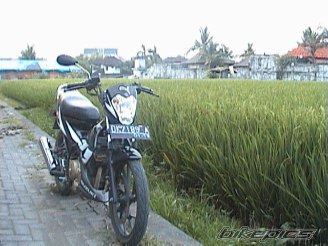 Photo 1221665