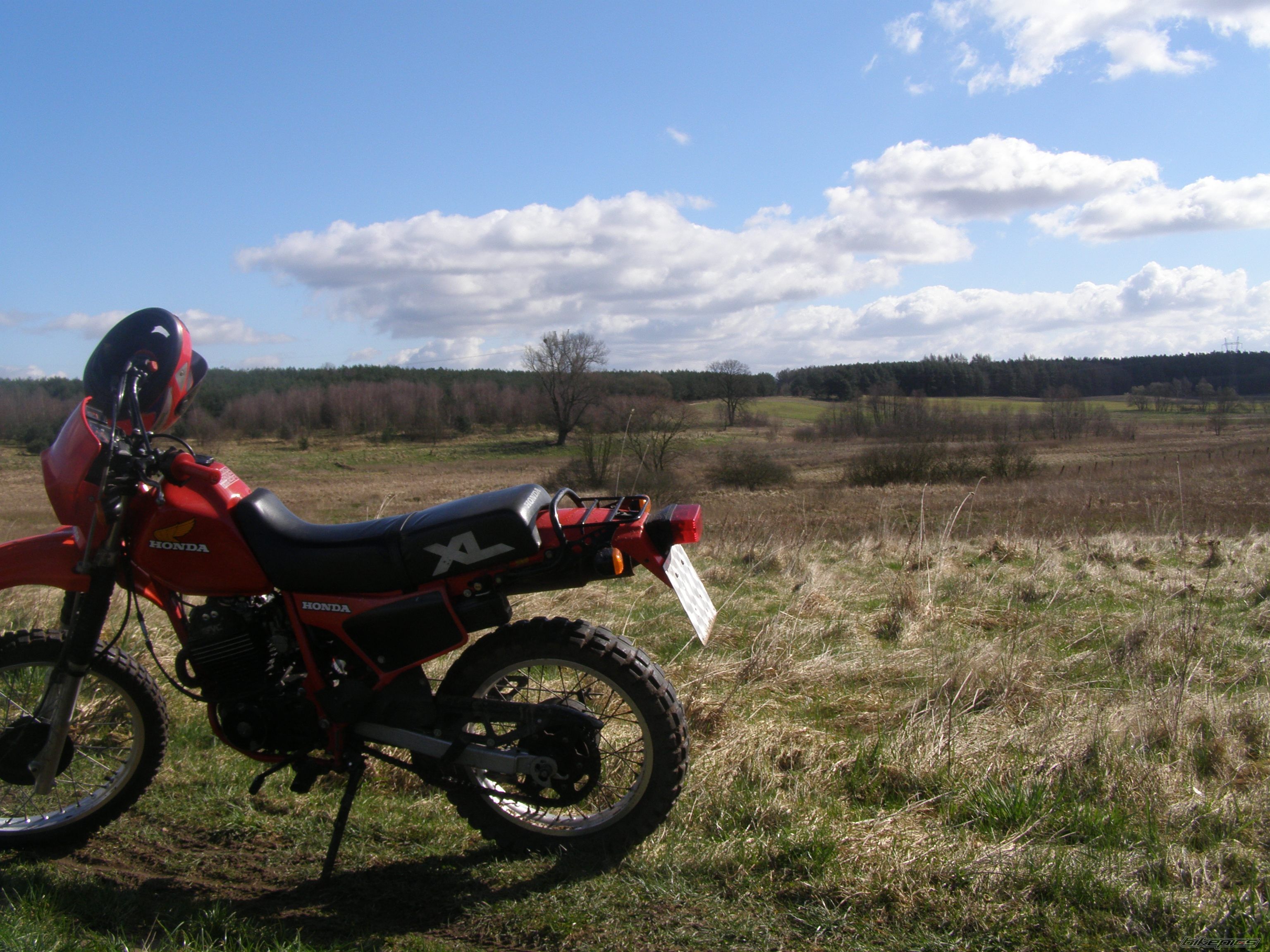 Photo 1222165