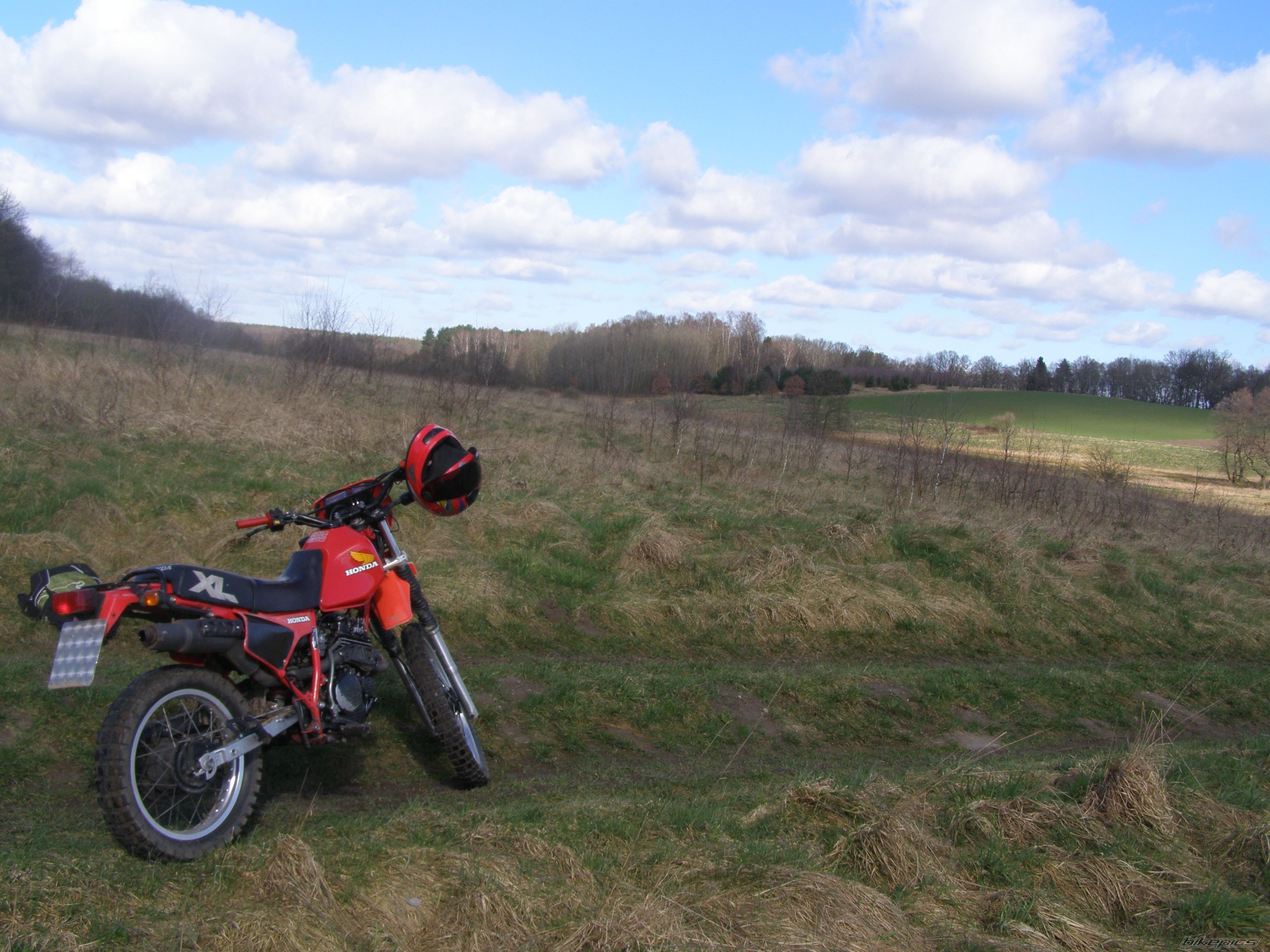 Photo 1222178