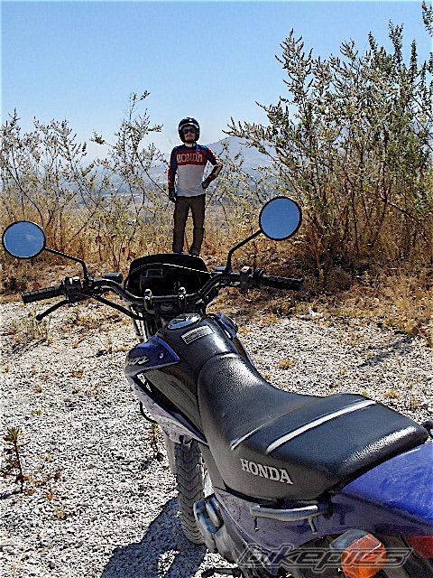 Photo 1222184