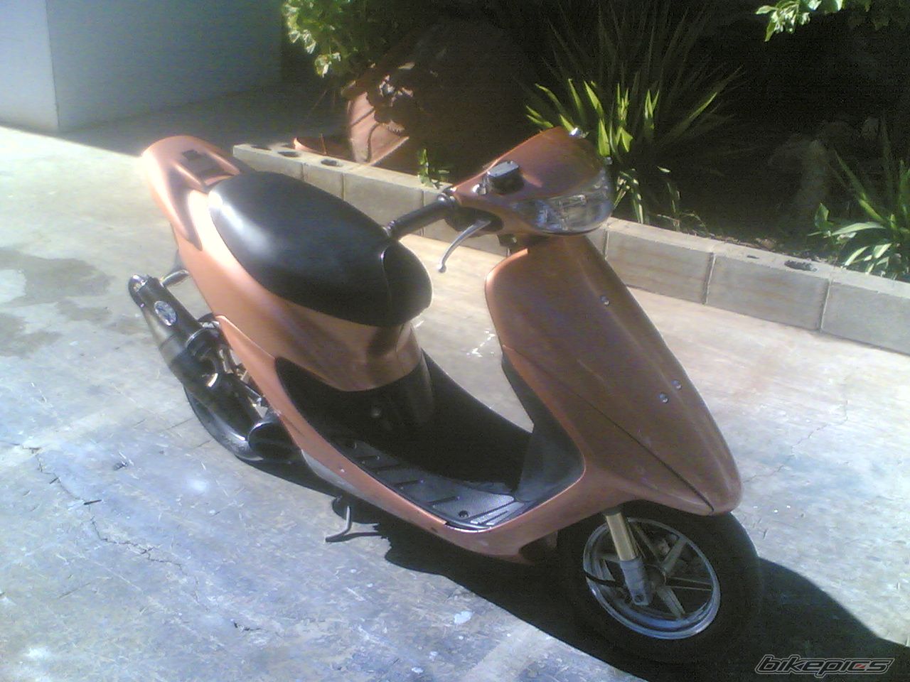 Photo 1222221