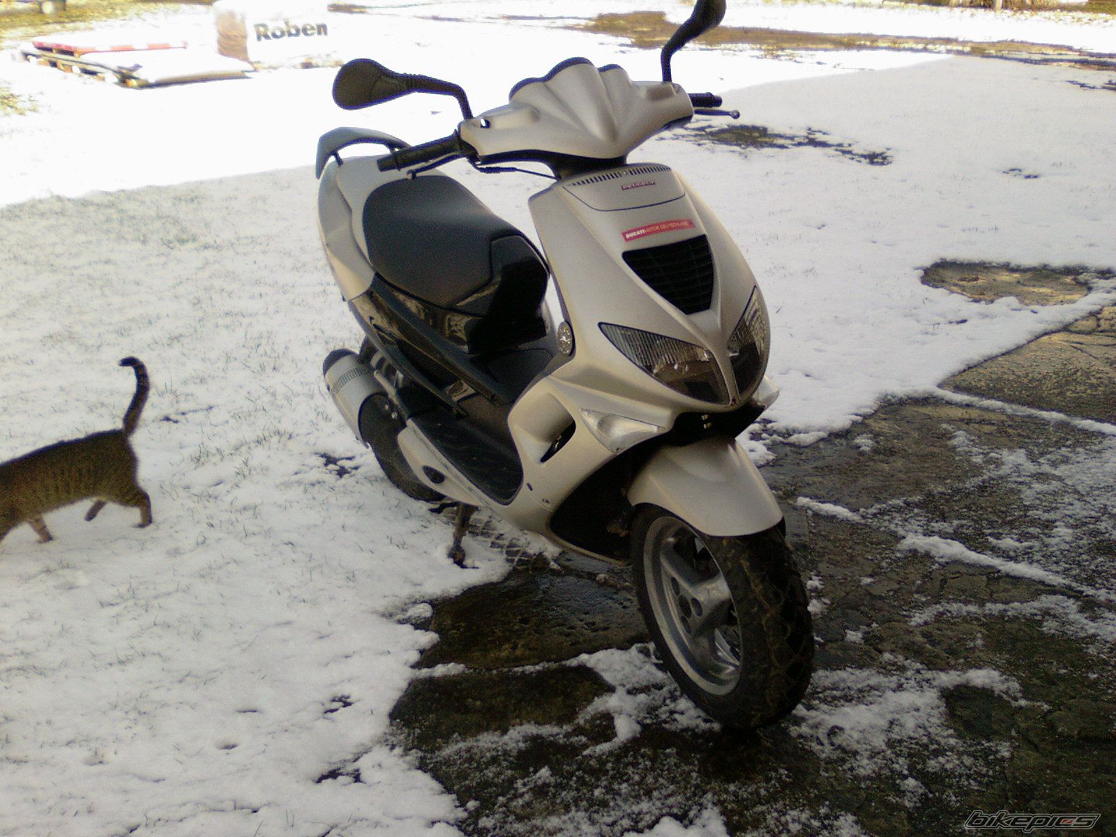 Photo 1222223