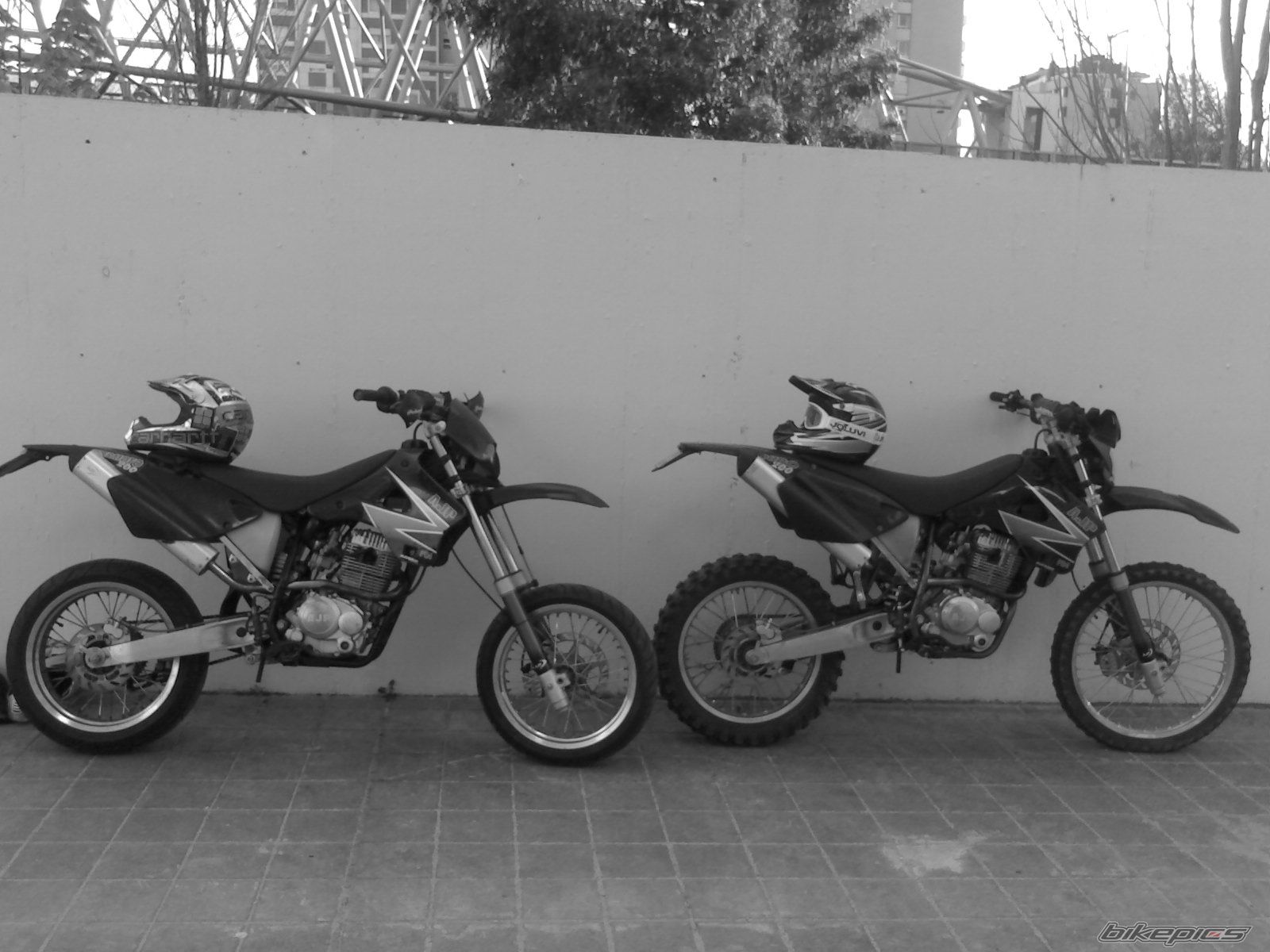 Photo 1222257