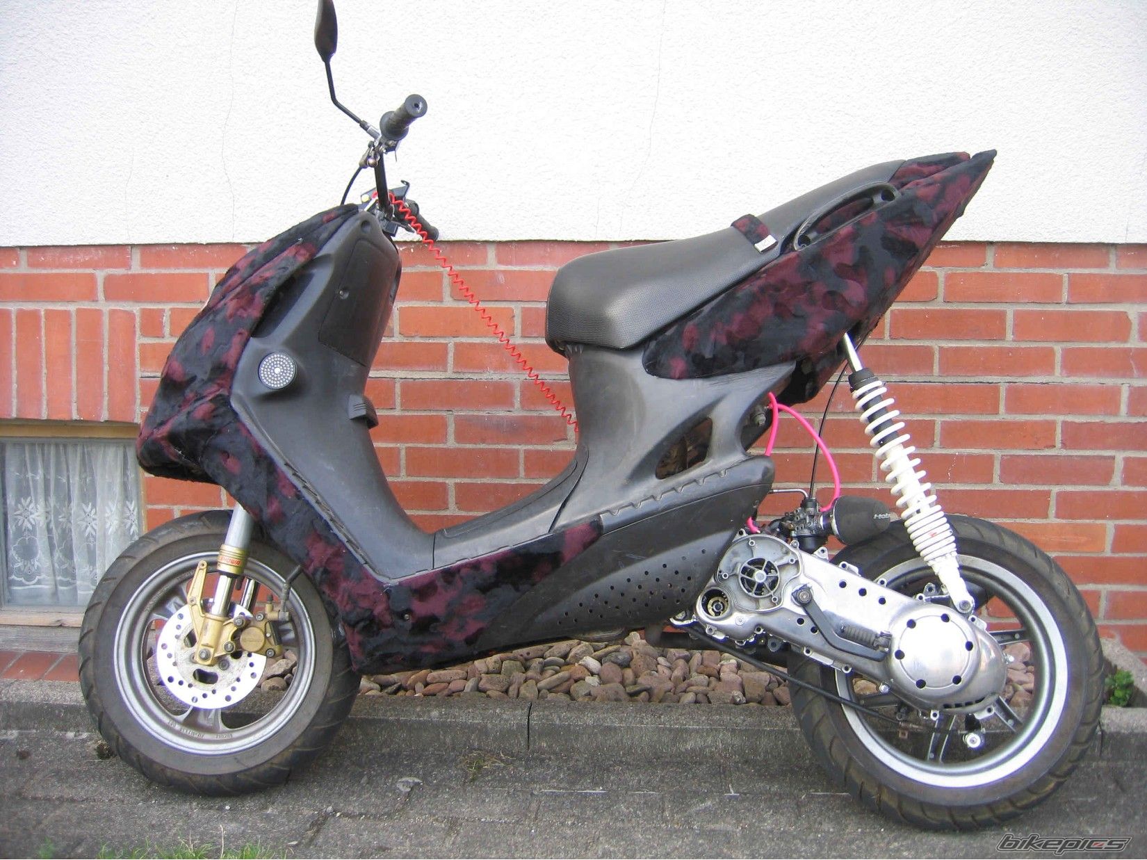 Photo 1222286
