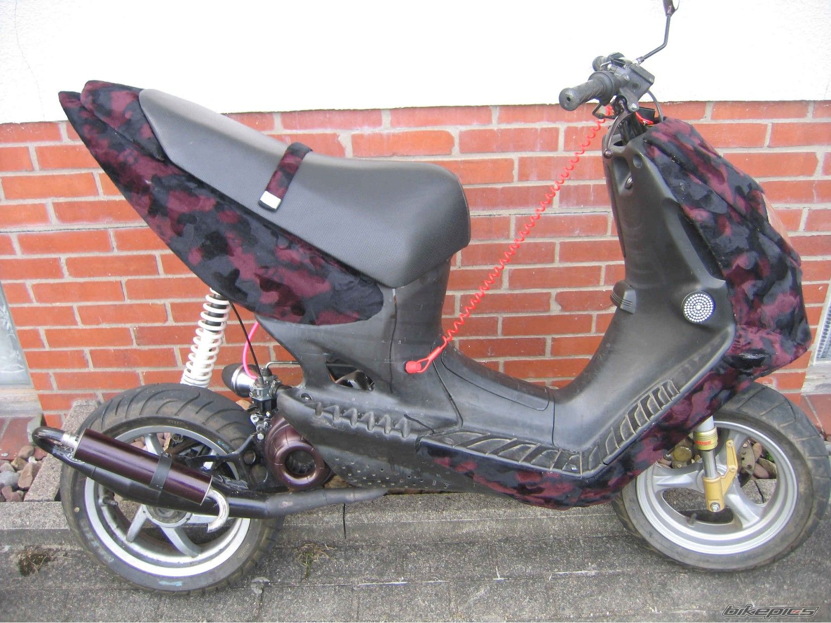 Photo 1222289