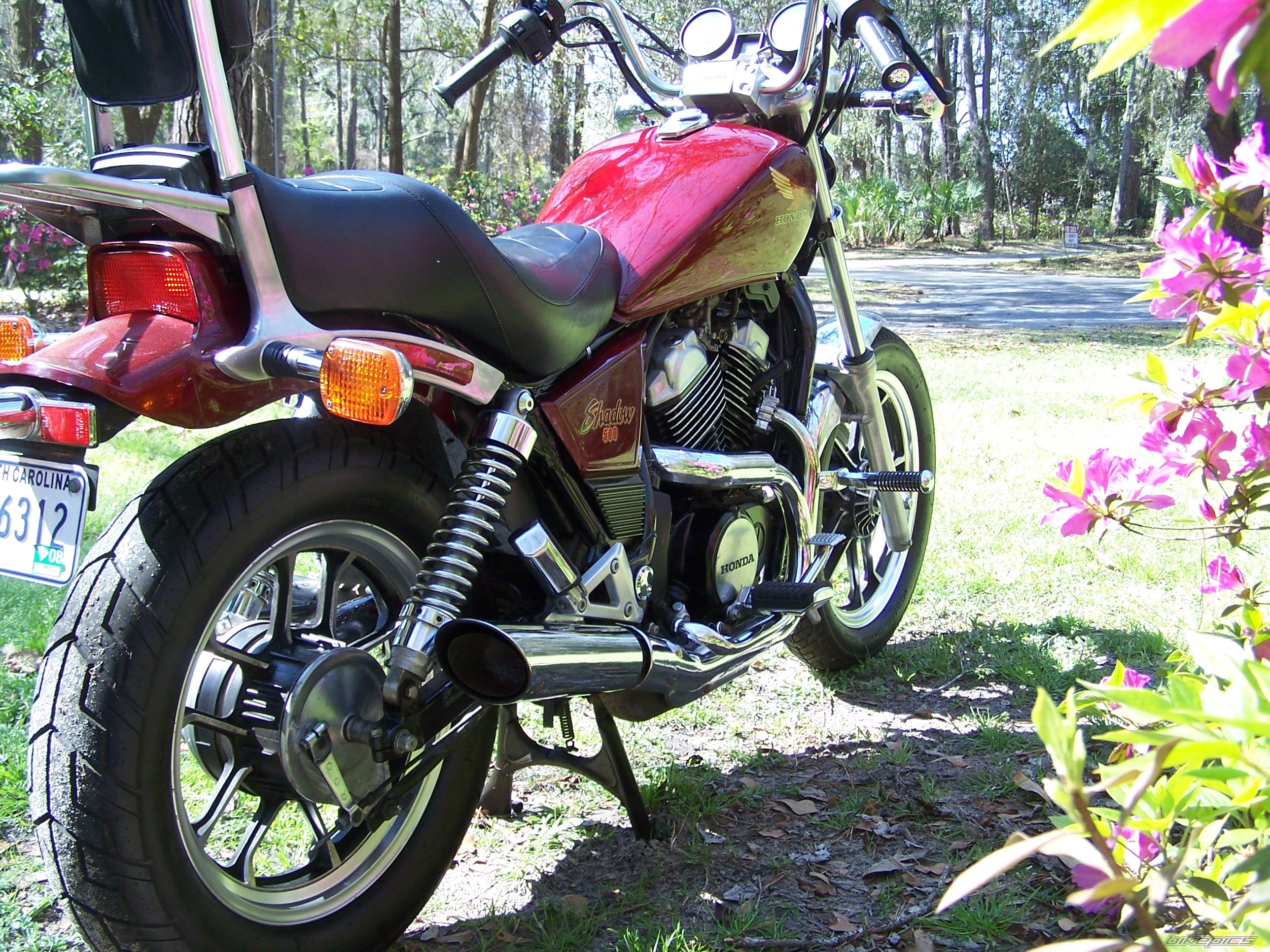 Photo 1222324