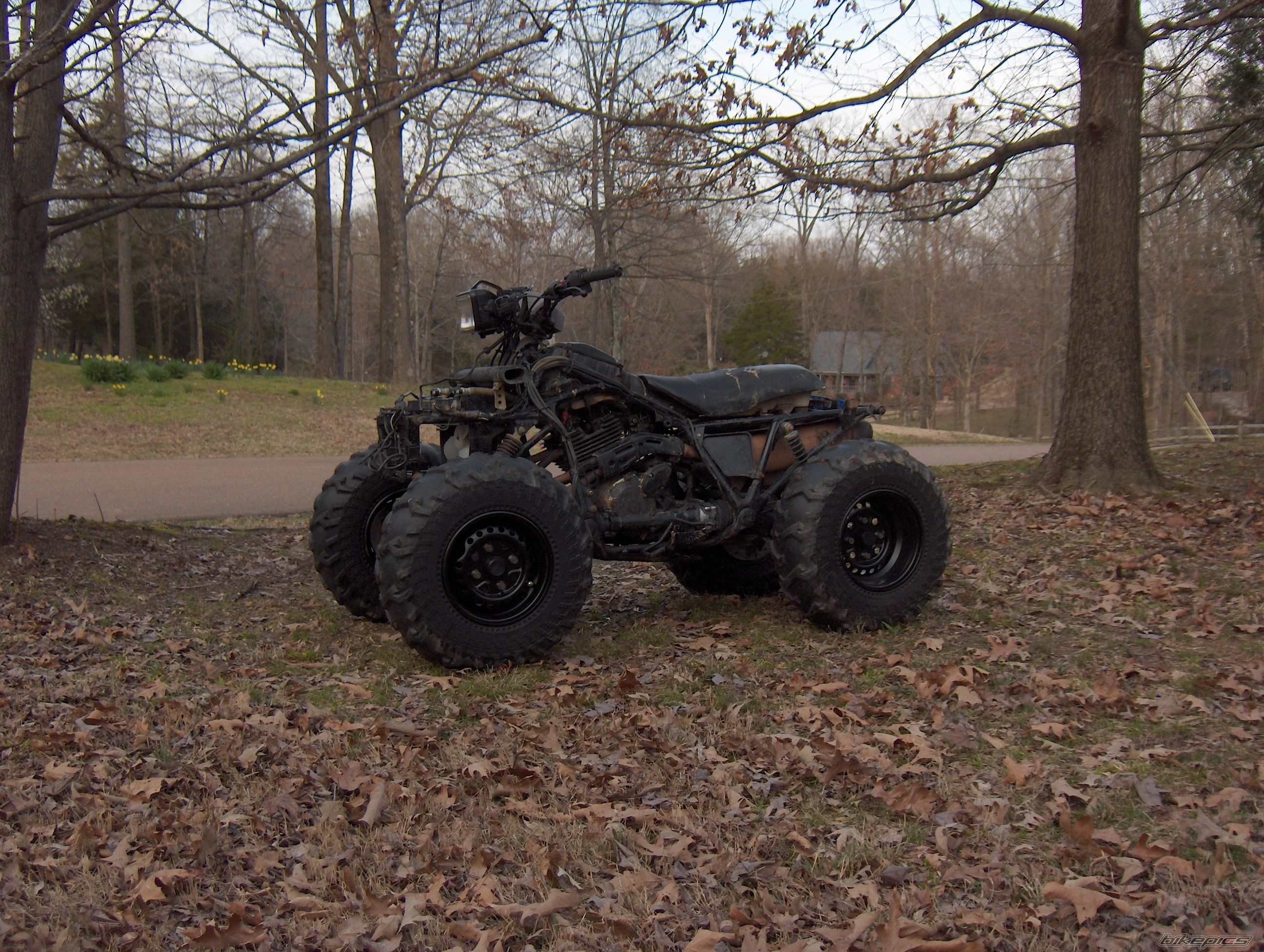 Photo 1222442