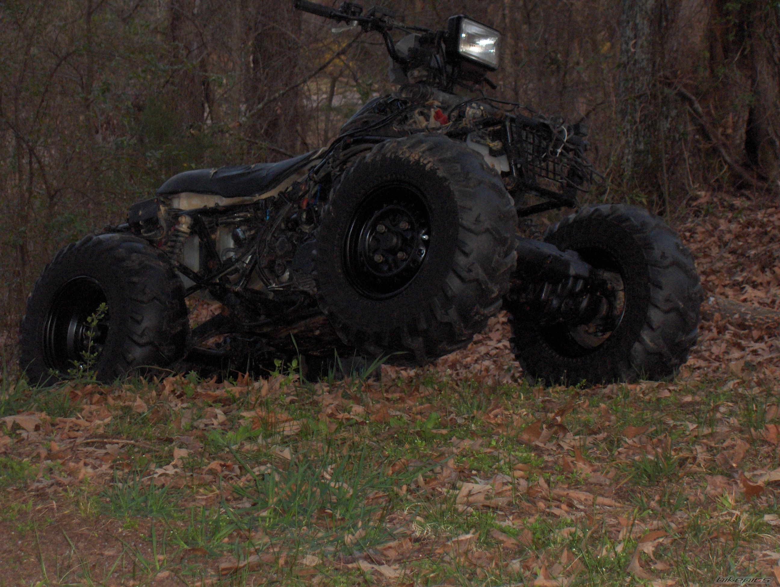 Photo 1222449