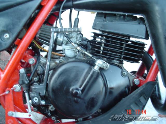 Photo 122259
