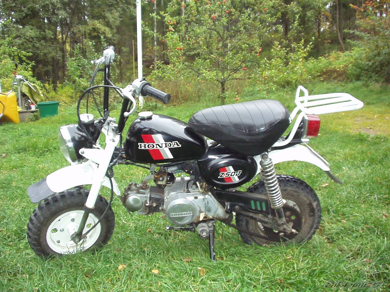Photo 122264