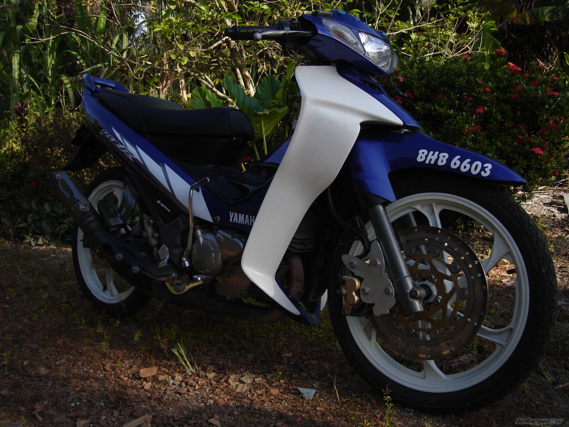 Photo 1222740