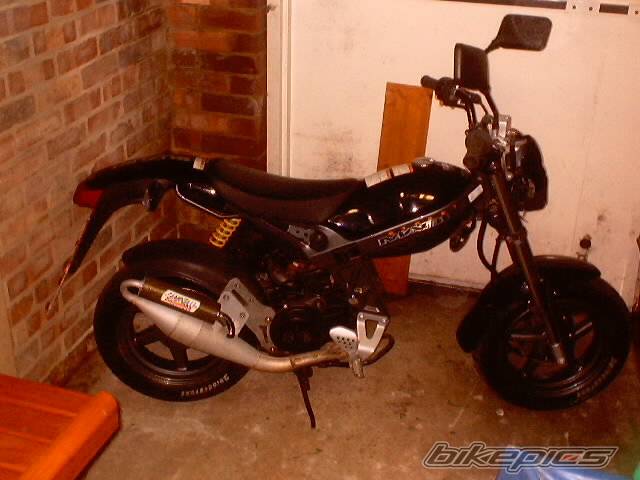 Photo 122286